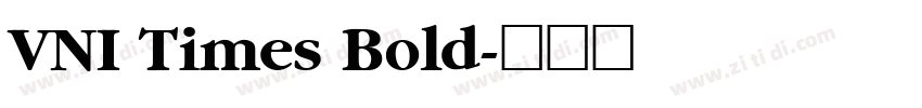 VNI Times Bold字体转换